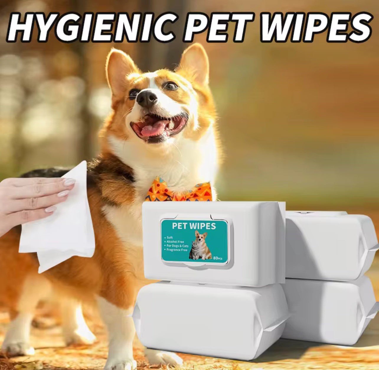 Dog Wipes
