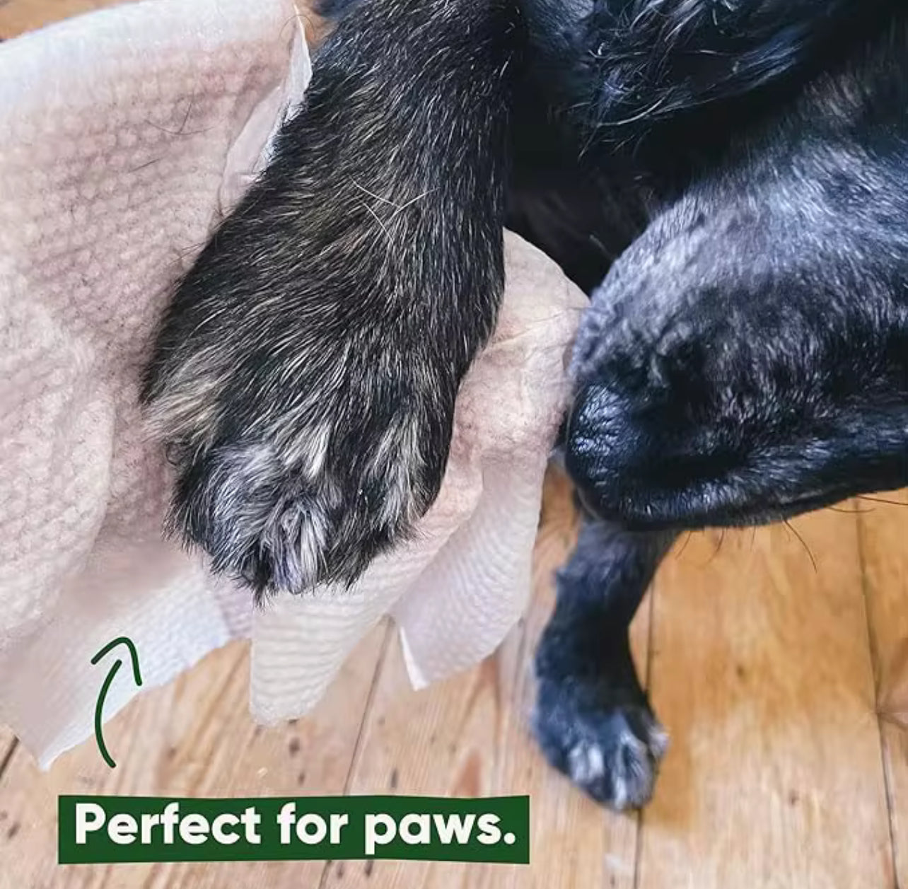 Dog Wipes