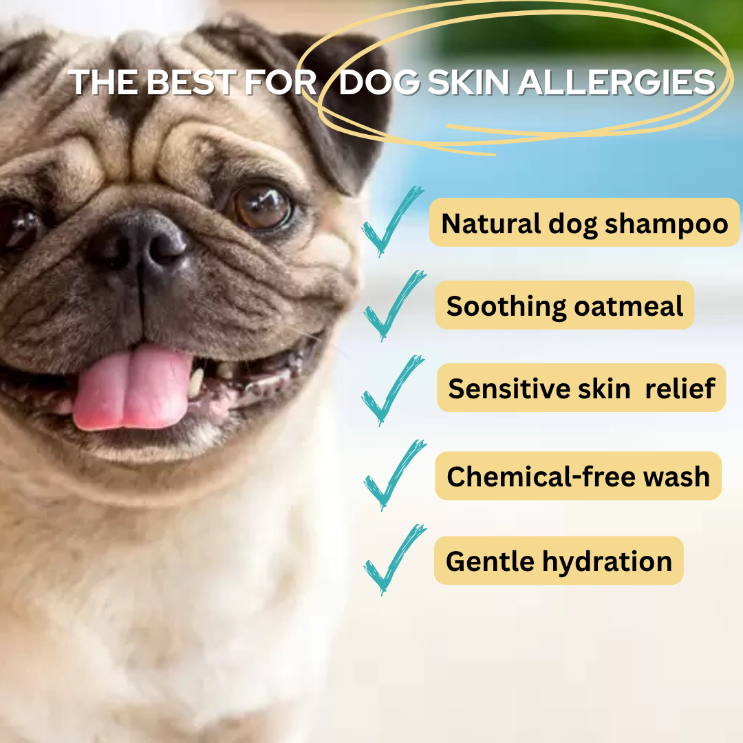 Pet Oatmeal Shampoo for Dogs and Puppies